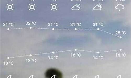 叶城天气预报一周_叶城天气预报一周7天查询